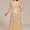 41DuB6i8N3L.jpg Women's Elegant A-Line V Neck Sheer Long Sleeves Plus Size Sequin Formal Dress Evening Gown